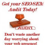 seoaudit